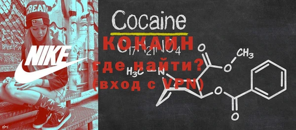 индика Богданович