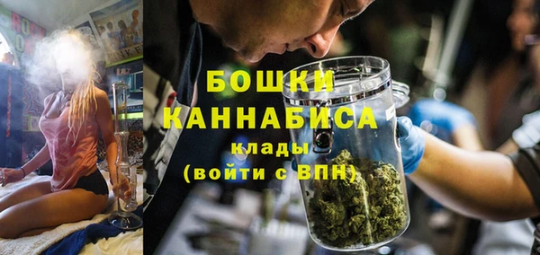 индика Богданович