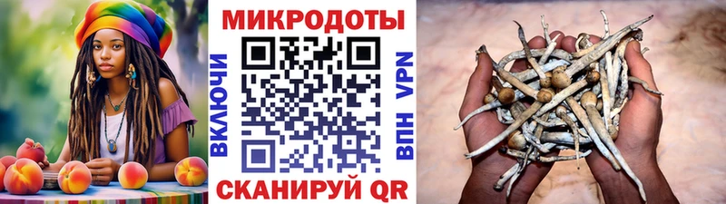 наркота  Ковров  Псилоцибиновые грибы Cubensis 