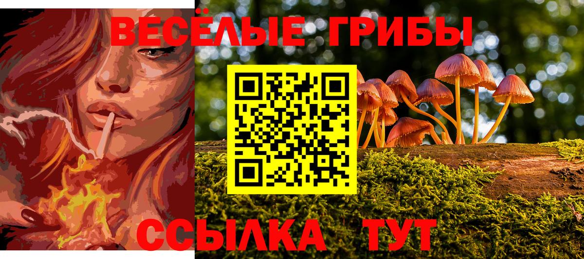 Галлюциногенные грибы Magic Shrooms  Вход с VPN  Ковров 